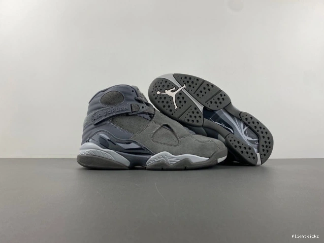 Retro Jordan 8 305381-014 Grey Cool 1016